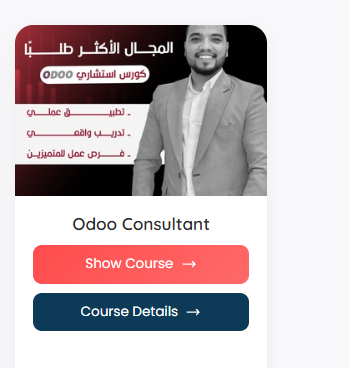R46 Odoo Application Consultant V20 AI